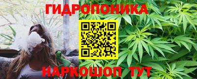 крисы Кинель