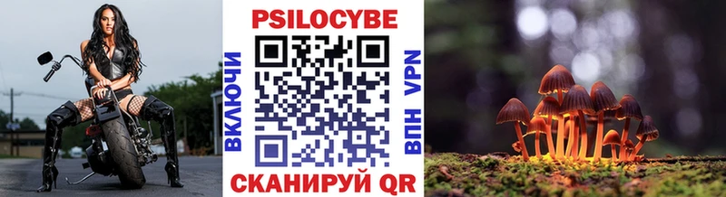 купить закладку  Ефремов  Галлюциногенные грибы ЛСД 