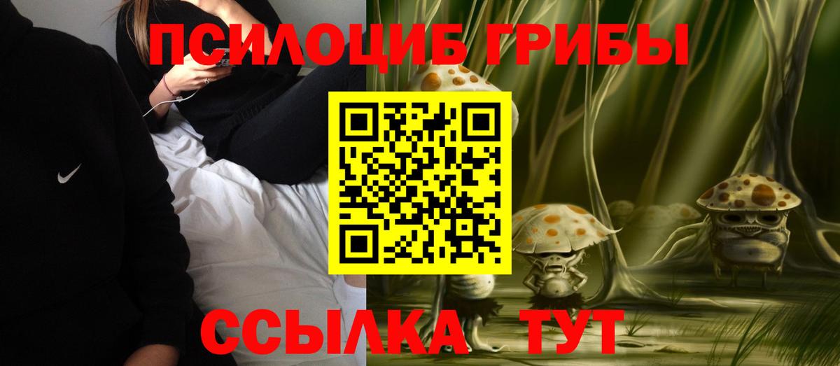 Галлюциногенные грибы MAGIC MUSHROOMS Ефремов