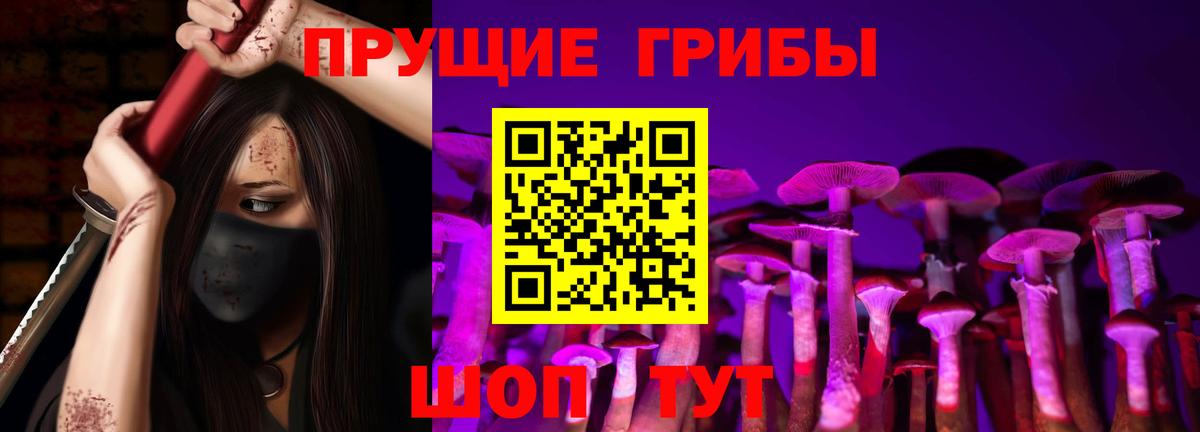 Псилоцибиновые грибы Psilocybine cubensis  Вход с VPN  Ефремов  Псилоцибиновые грибы Psilocybine cubensis 